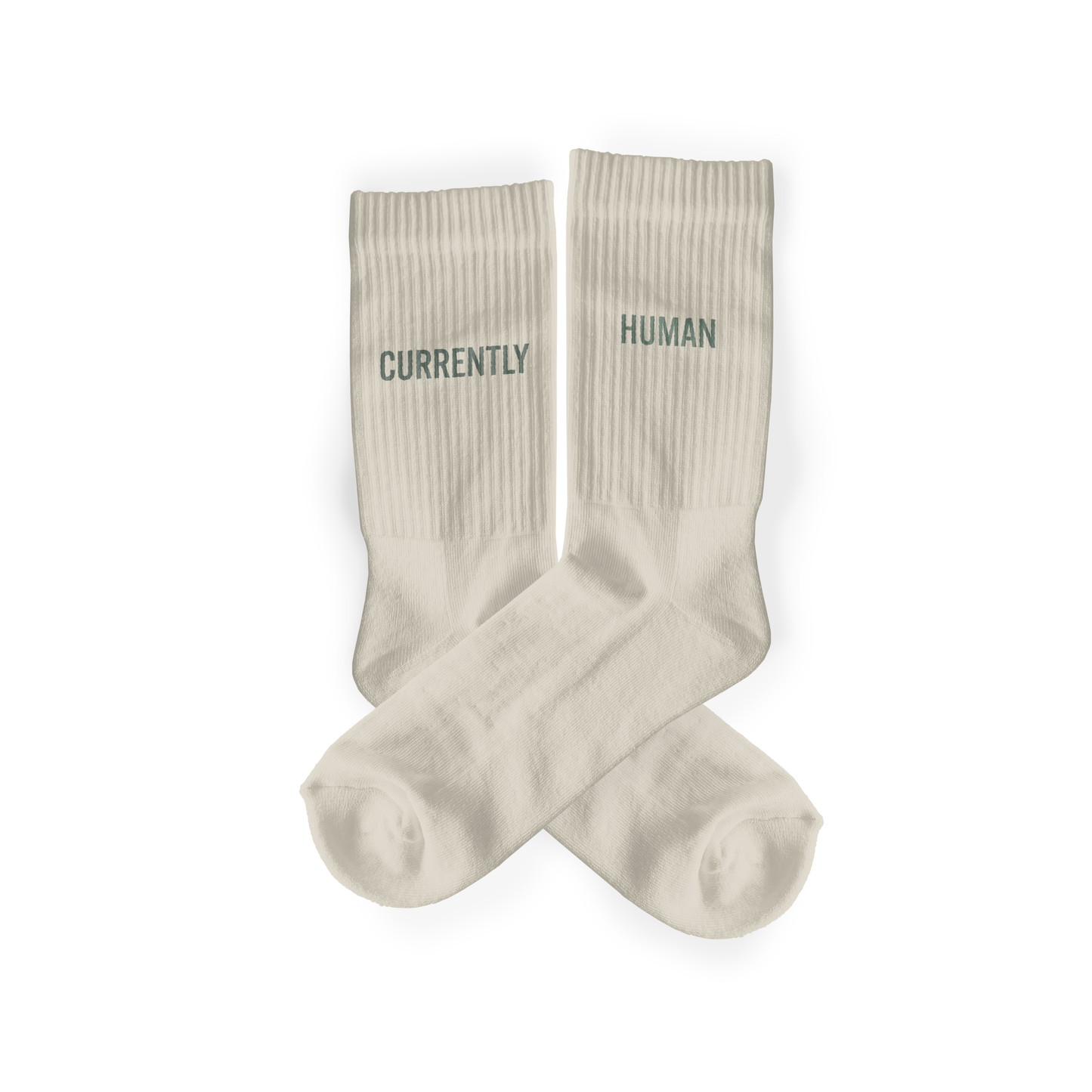 SALE!!! CURRENTLY HUMAN Socks